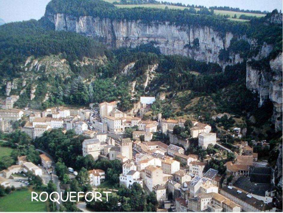 Chambre Au Calme Avec Spa Privatif Gratuit Sud Aveyron Les Palmiers Des Causses Saint-Rome-de-Tarn Exterior foto